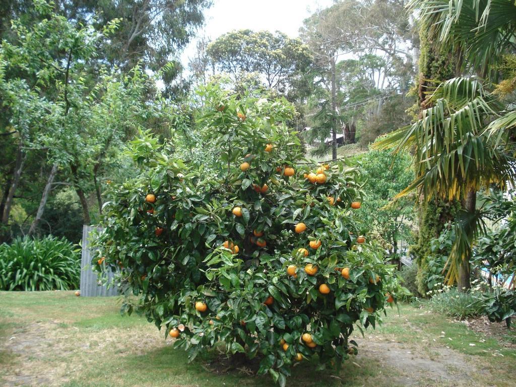 Havelock House Bed & Breakfast Havelock North Oda fotoğraf