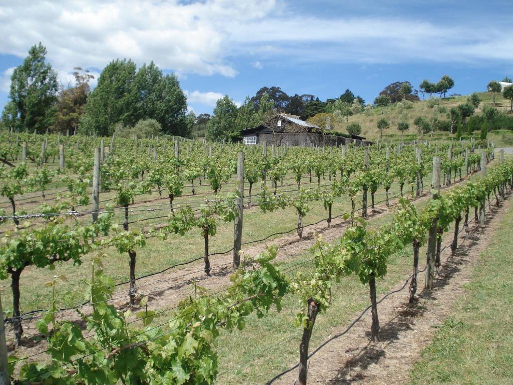 Havelock House Bed & Breakfast Havelock North Dış mekan fotoğraf
